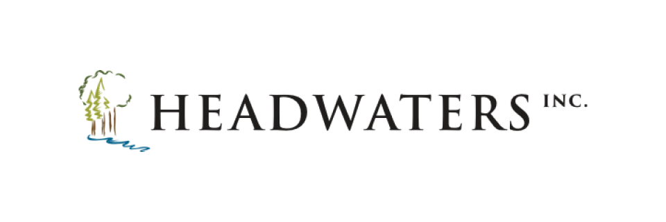 Headwaters Inc